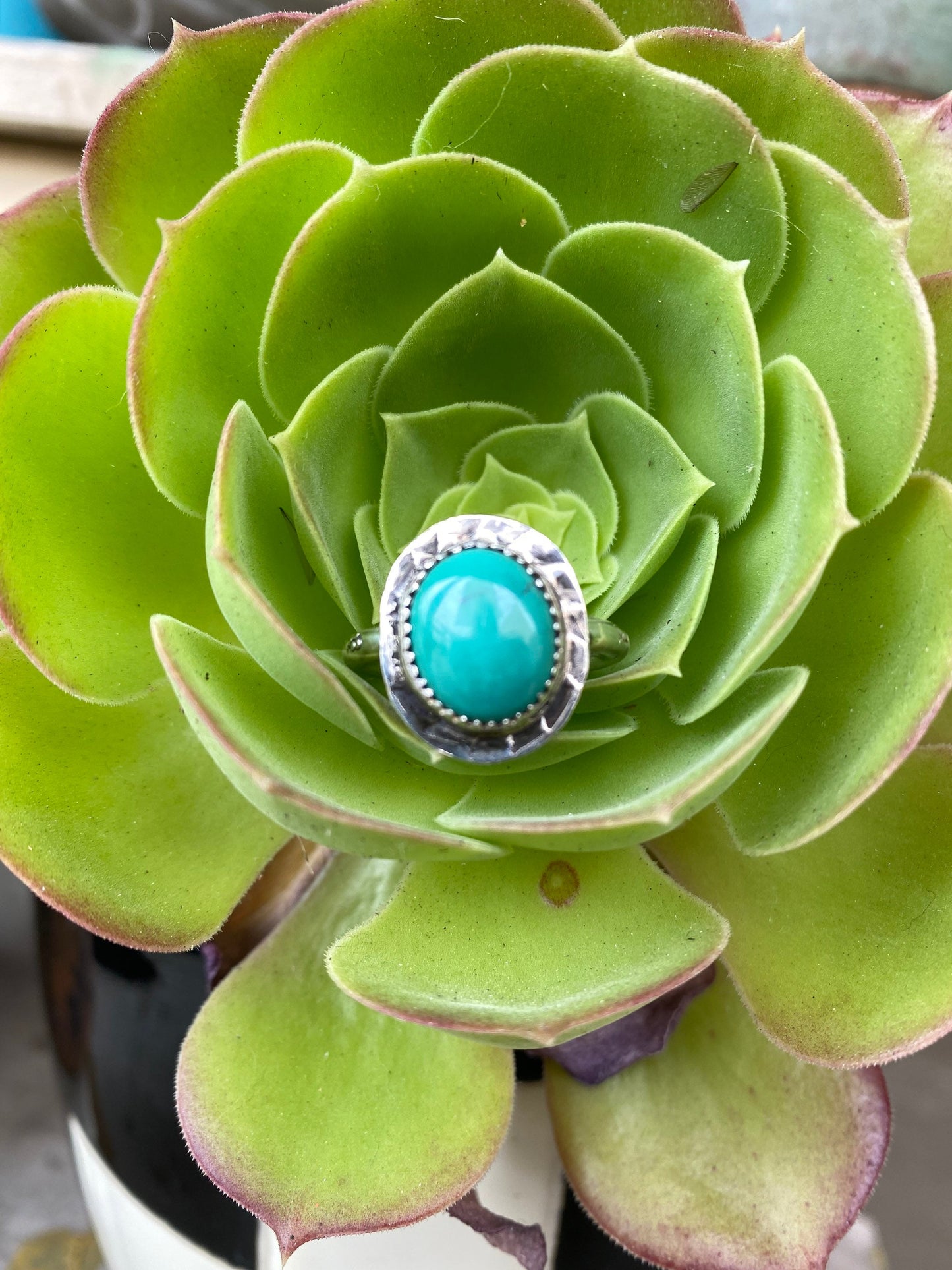 Every Day - Turquoise Sterling Silver 925